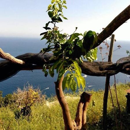 Casa Marilo - A Beautiful House Overlooking Amalfi Exterior foto